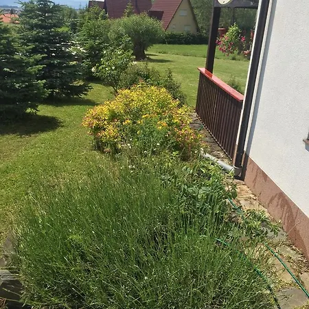 Dağ evi Chalet Ivana