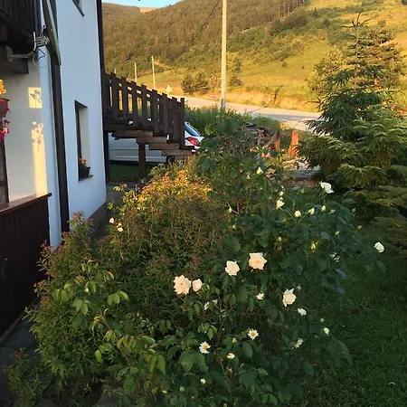 Chalet Ivana Dağ evi
