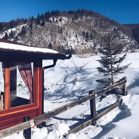 Dağ evi Chalet Ivana